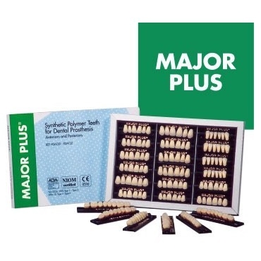 MAJOR PLUS Dientes Posteriores (8pzs)