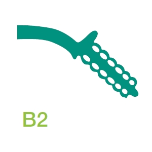 PLASTIFORM B2