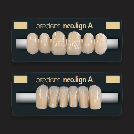 Dientes Anteriores Neo.Lign de Bredent