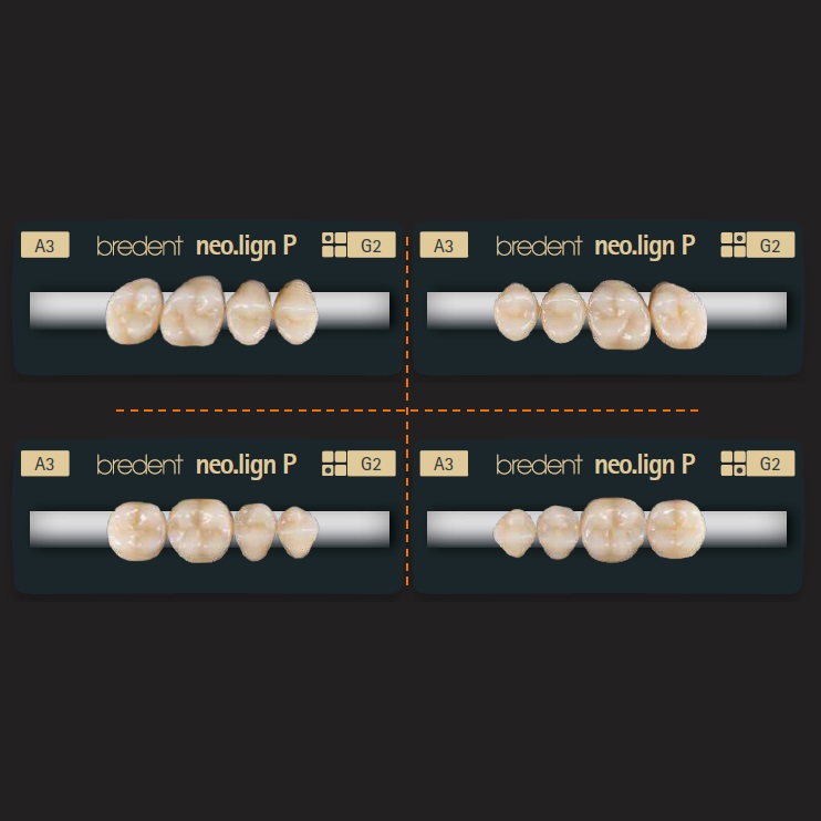 Dientes Posteriores Neo.Lign de Bredent (4 pzs)
