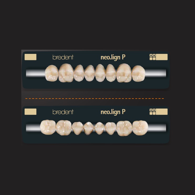 Dientes Posteriores Neo.Lign de Bredent